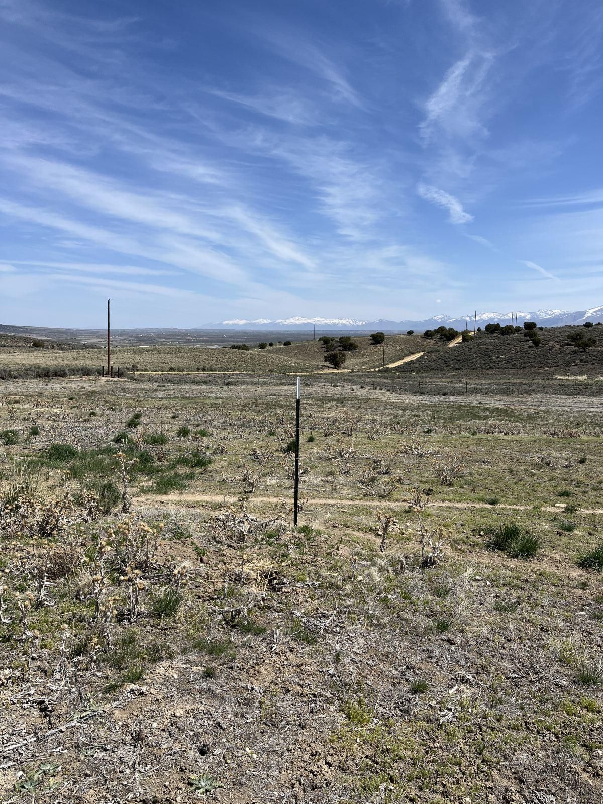 2704 Osprey St Spring Creek Spring Creek, NV 89815 - Photo 8 of 18