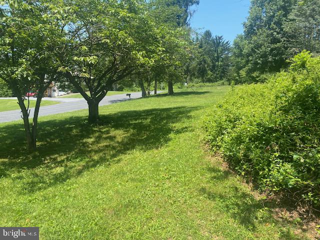 44 Blacksnake Road Duncannon, PA 17020 - Photo 8 of 37 Front of house Lawn