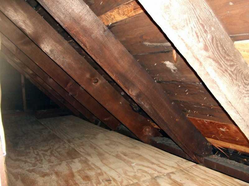 308 Mitchell Avenue Butler, PA 16001 - Photo 22 of 25 Storage. Clean and dry storage space on the third floor.