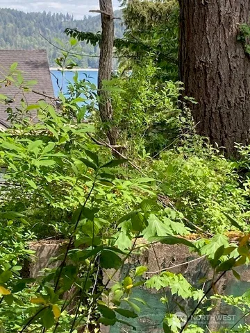 $369,900 | 161 North Schoolhouse Hill Road, Hoodsport, WA 98548