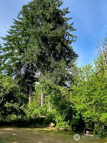 $369,900 | 161 North Schoolhouse Hill Road, Hoodsport, WA 98548