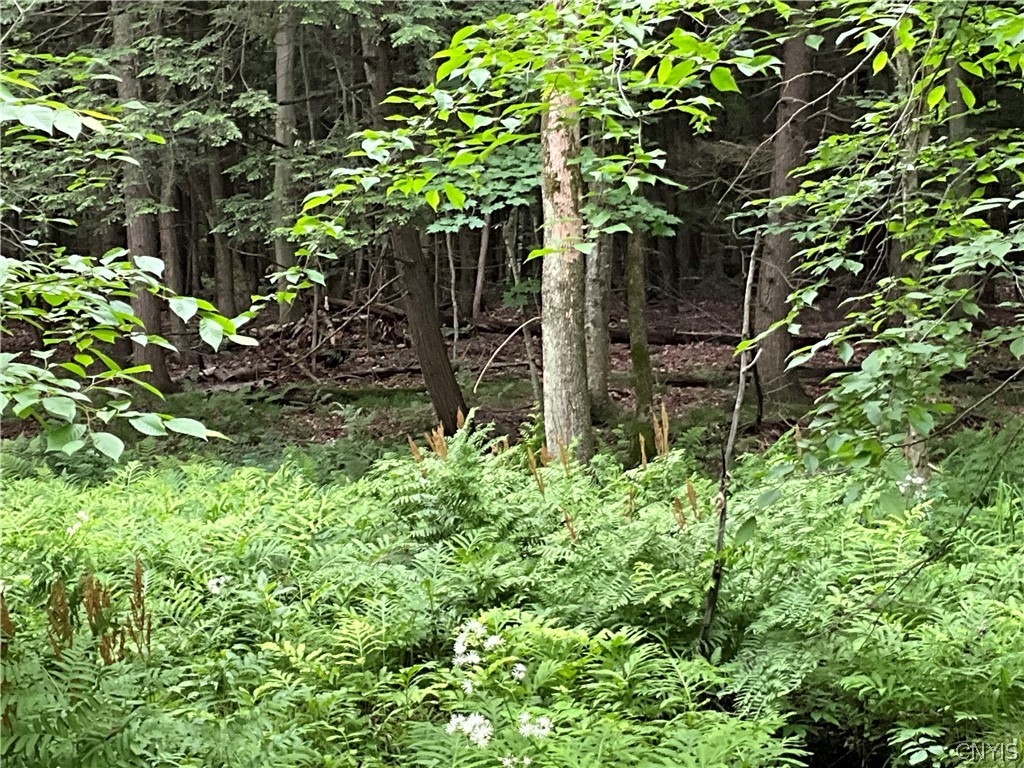 0 County Rte 35 Canton, NY 13617 - Photo 26 of 33