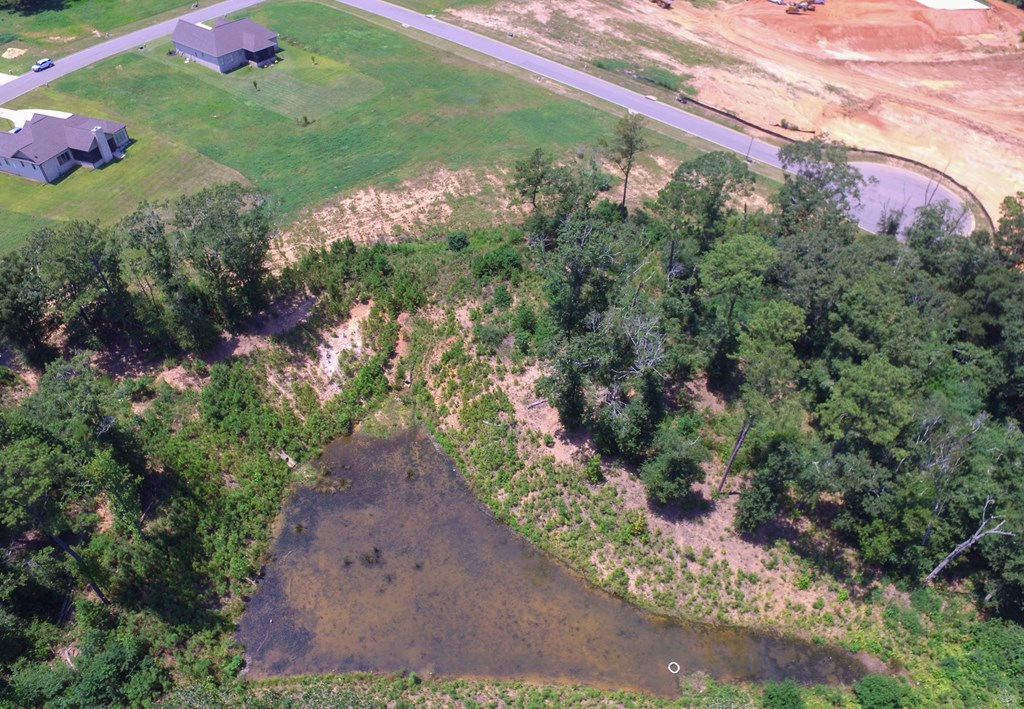 102 Laney Lane Dothan, AL 36305 - Photo 11 of 29