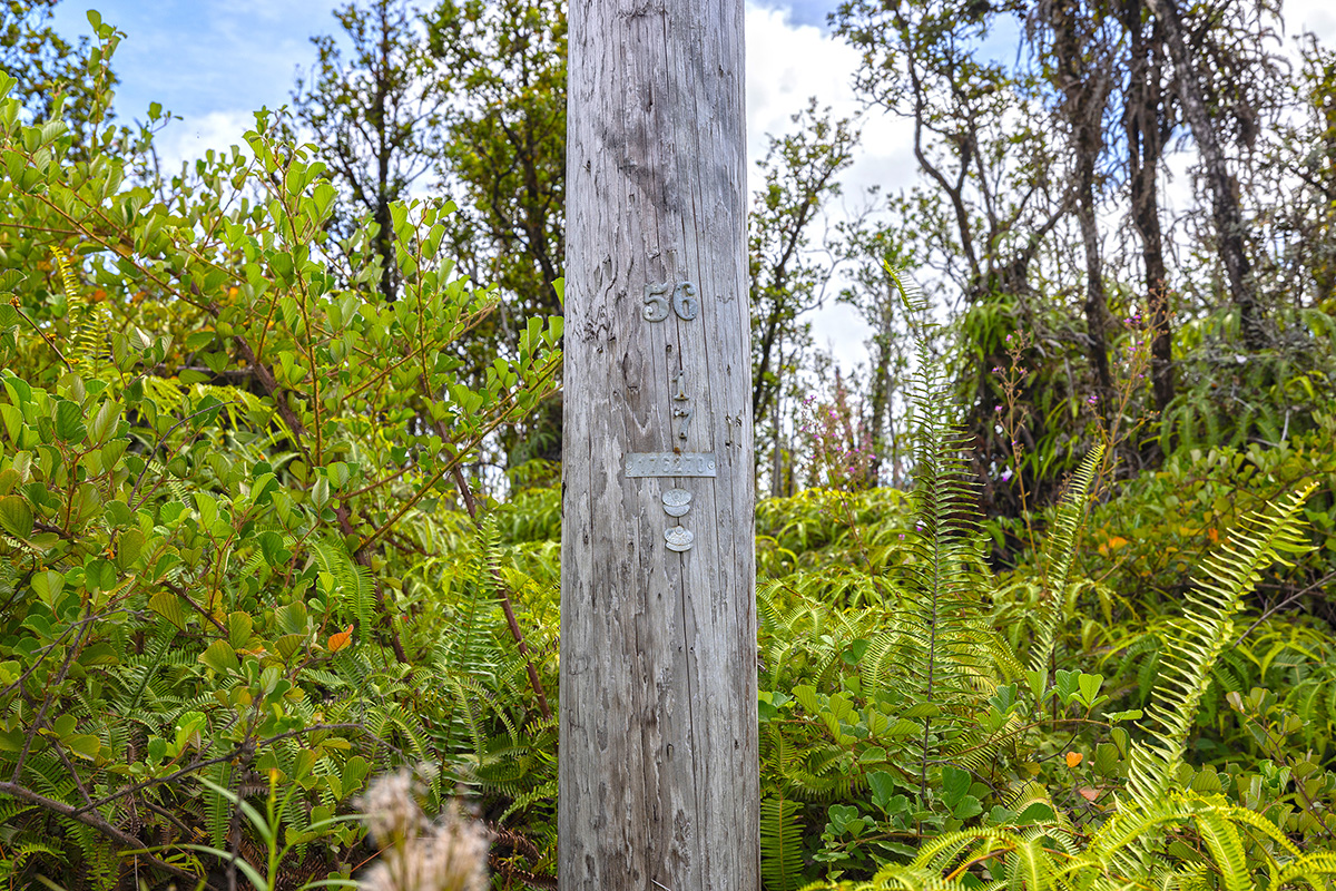 32 Ohialani Road Mountain View, HI 96771 - Photo 11 of 11 a view of entryway
