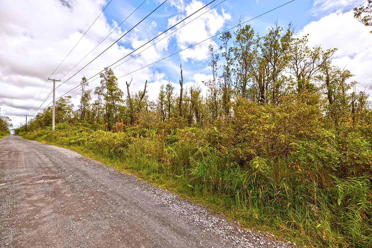 32 Ohialani Road Mountain View, HI 96771 - Photo 3 of 11 a view of a yard with plants and large trees