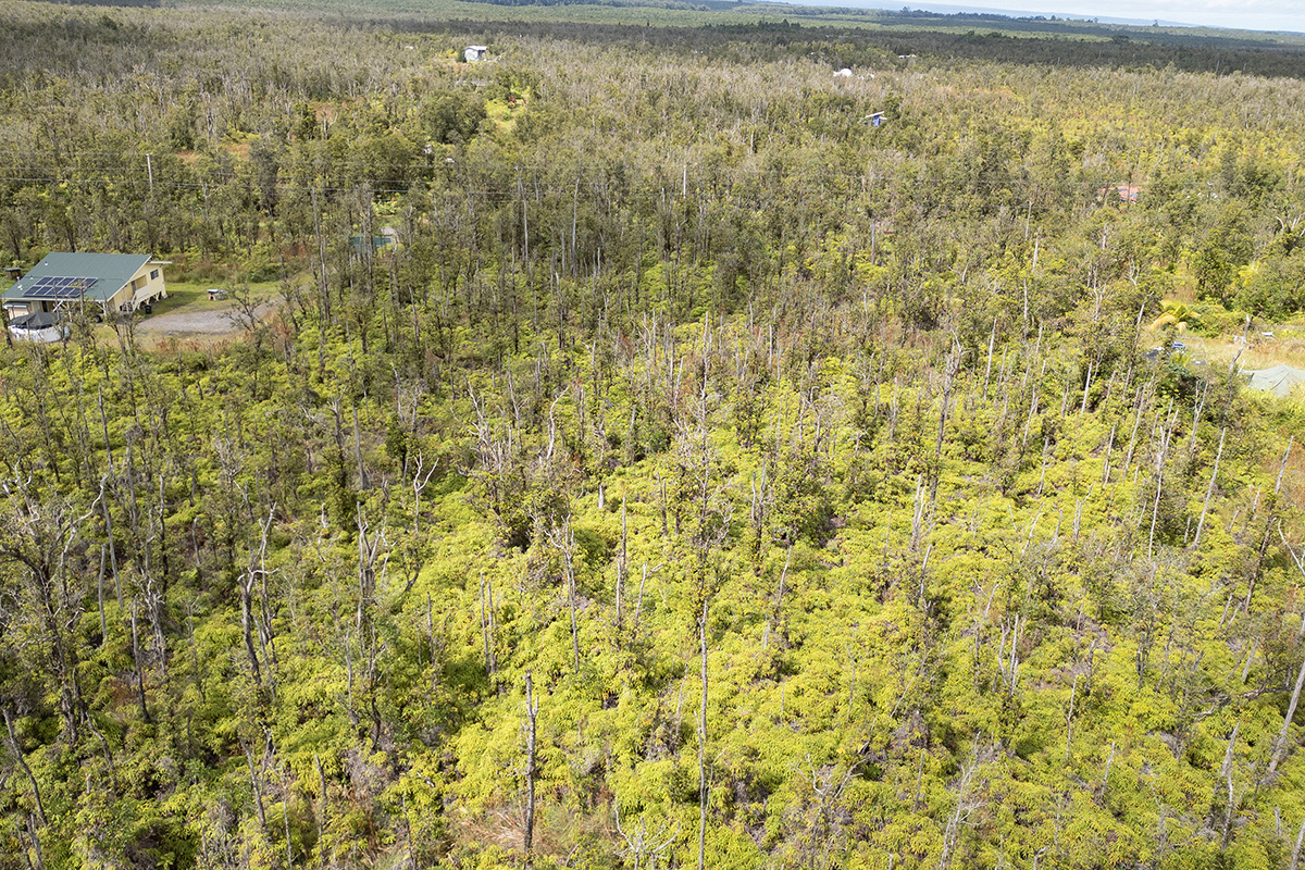32 Ohialani Road Mountain View, HI 96771 - Photo 6 of 11 a bathroom with a window