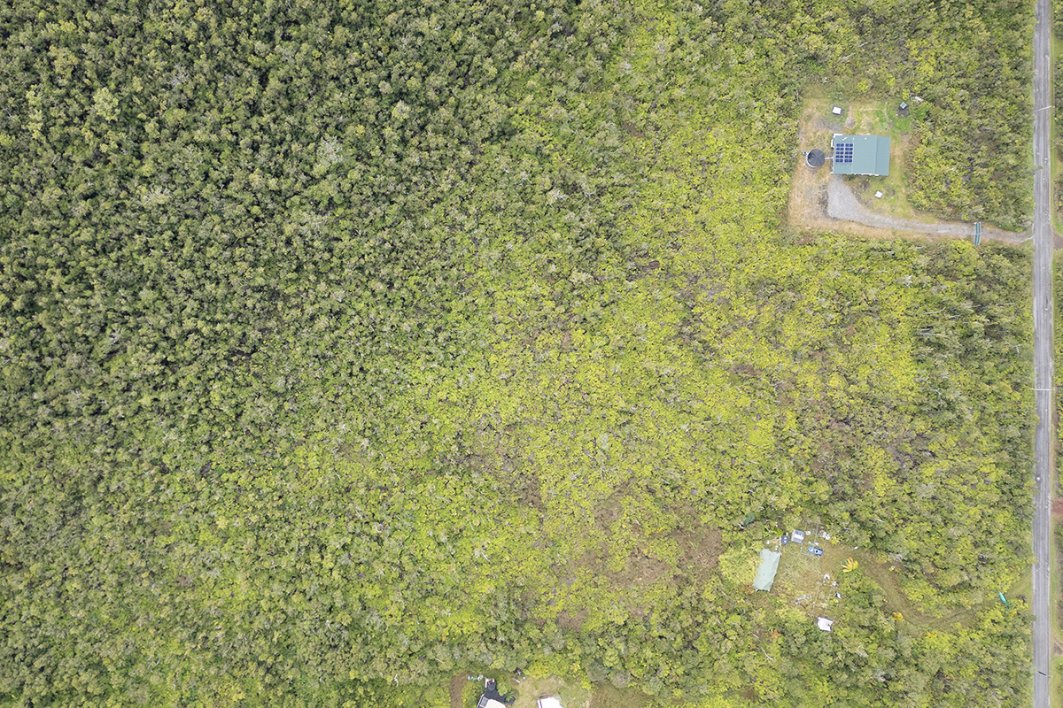 32 Ohialani Road Mountain View, HI 96771 - Photo 9 of 11 a close up of a wall