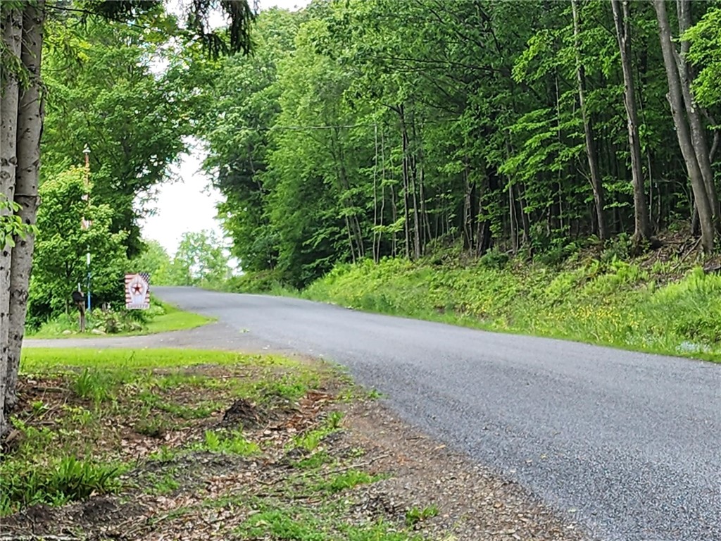 178 Dunshee Road Sidney, NY 13839 - Photo 5 of 15