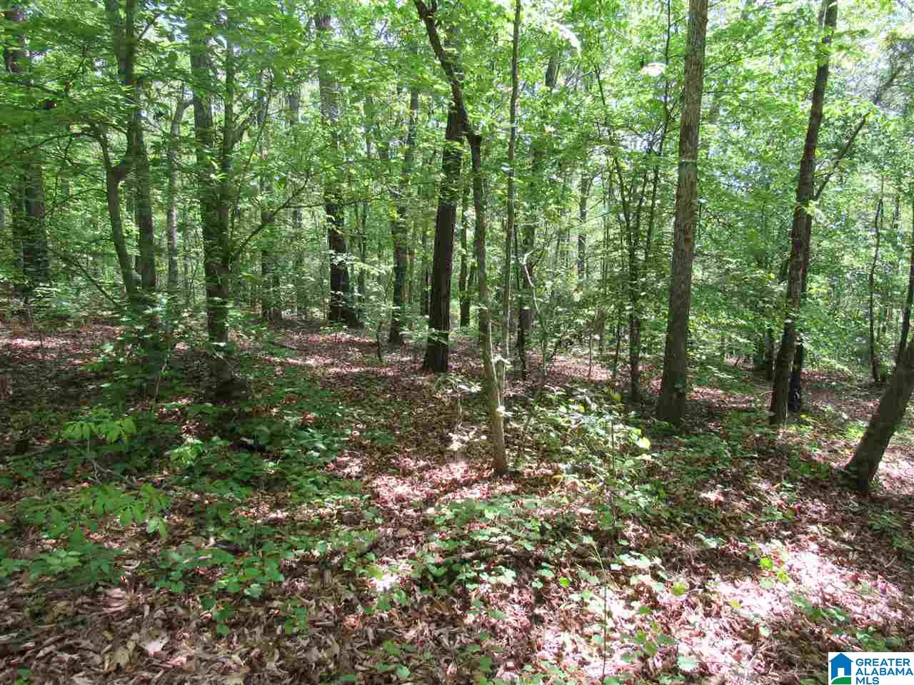 0 County Road 895, Unit 17 ACRES Lineville, AL 36266 - Photo 29 of 30