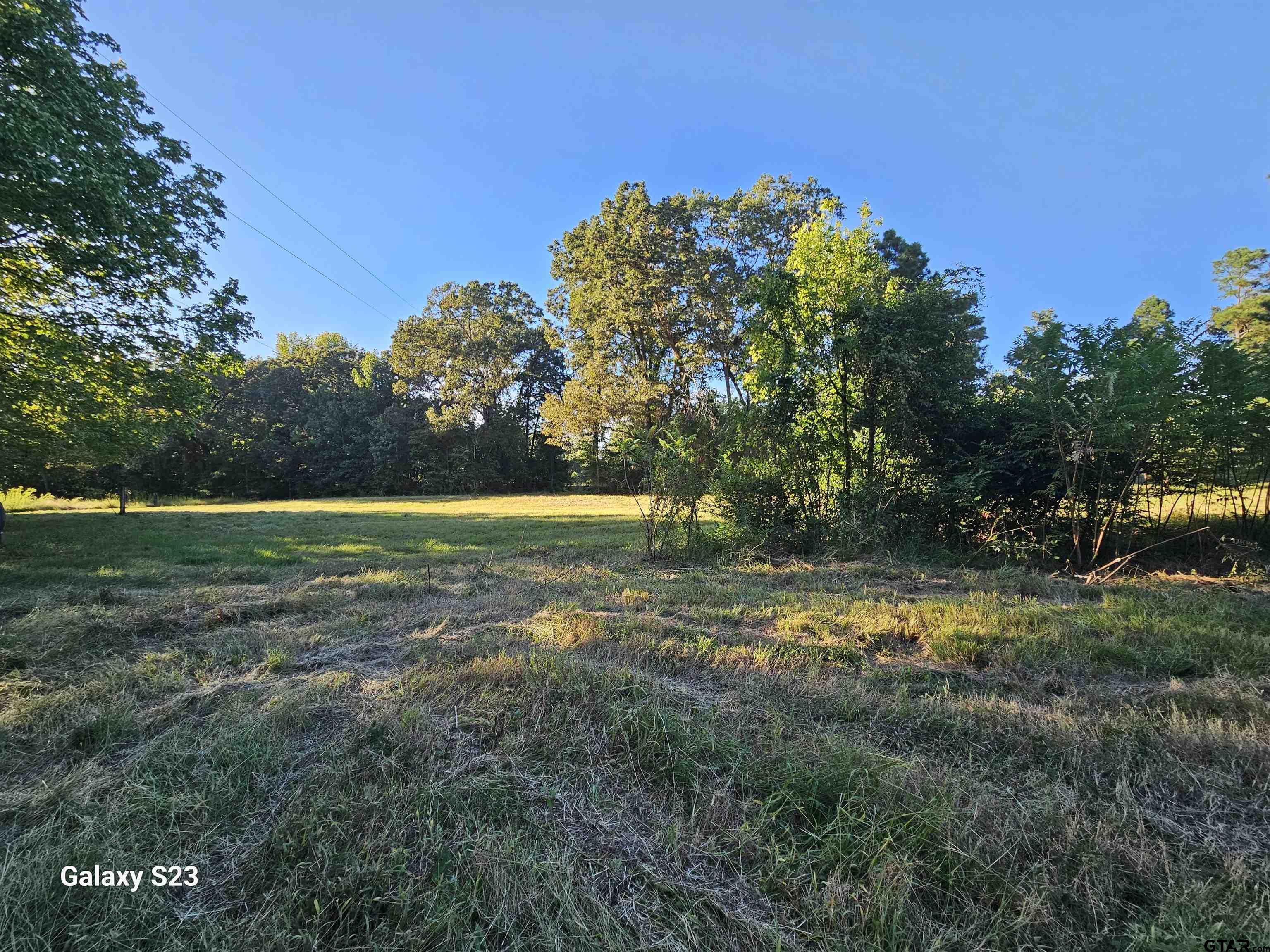 15830 Shady Creek Road Tyler, TX 75705 - Photo 11 of 32 a view of a yard with a house