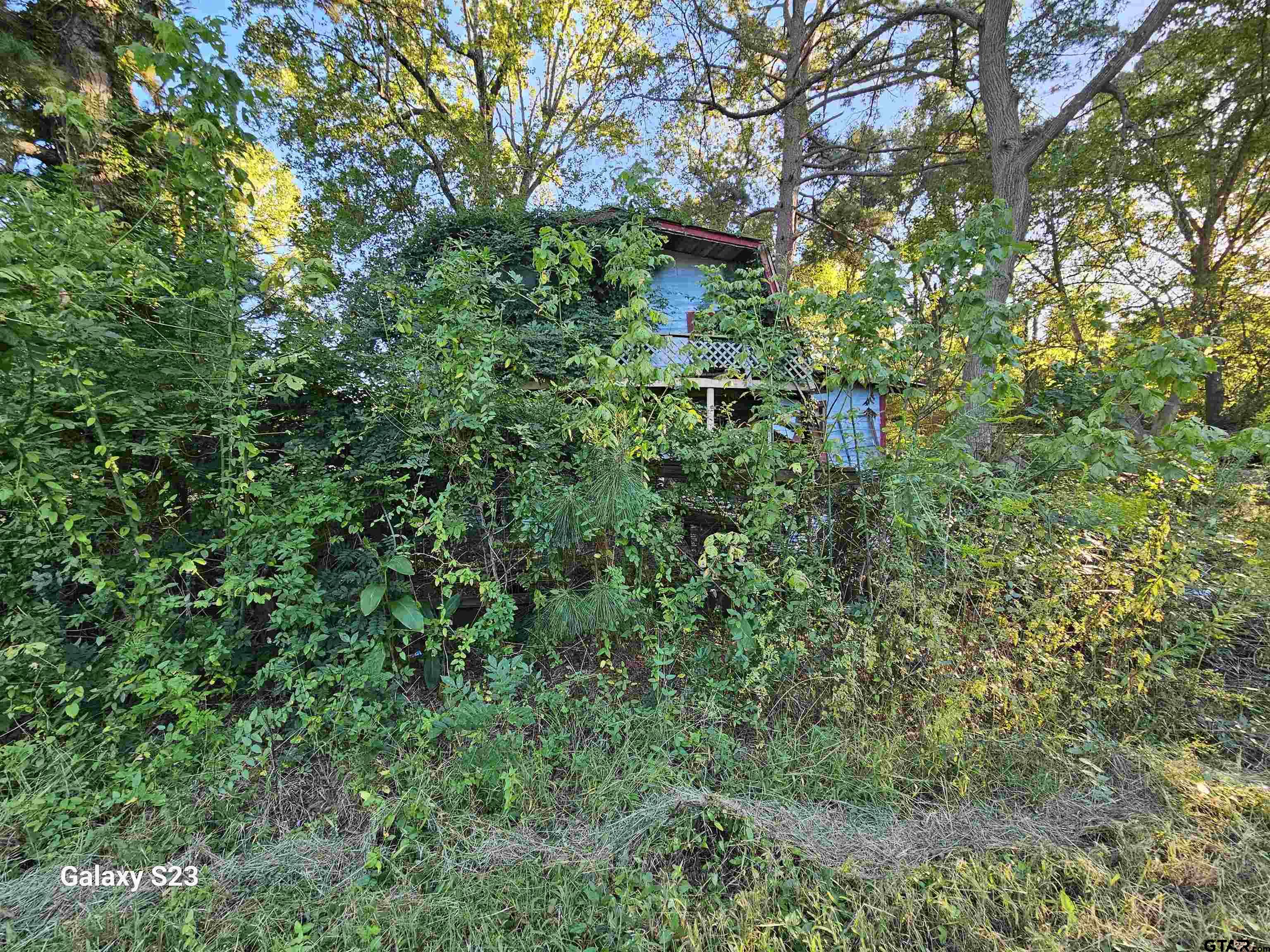 15830 Shady Creek Road Tyler, TX 75705 - Photo 12 of 32 a backyard of a house with lots of green space