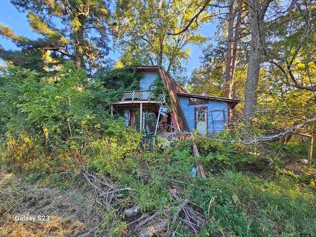 a house that has a tree in front of it