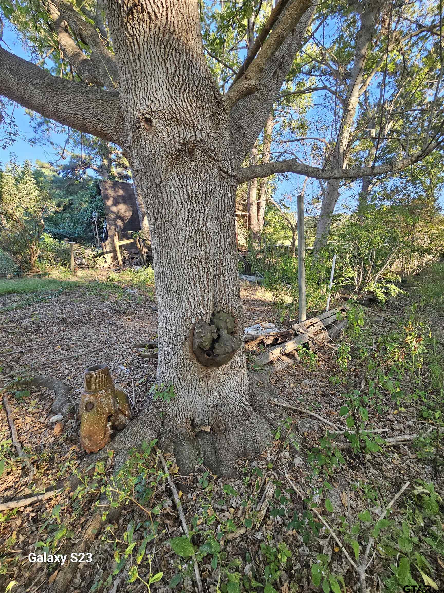 15830 Shady Creek Road Tyler, TX 75705 - Photo 17 of 32 a backyard of a house with lots of green space