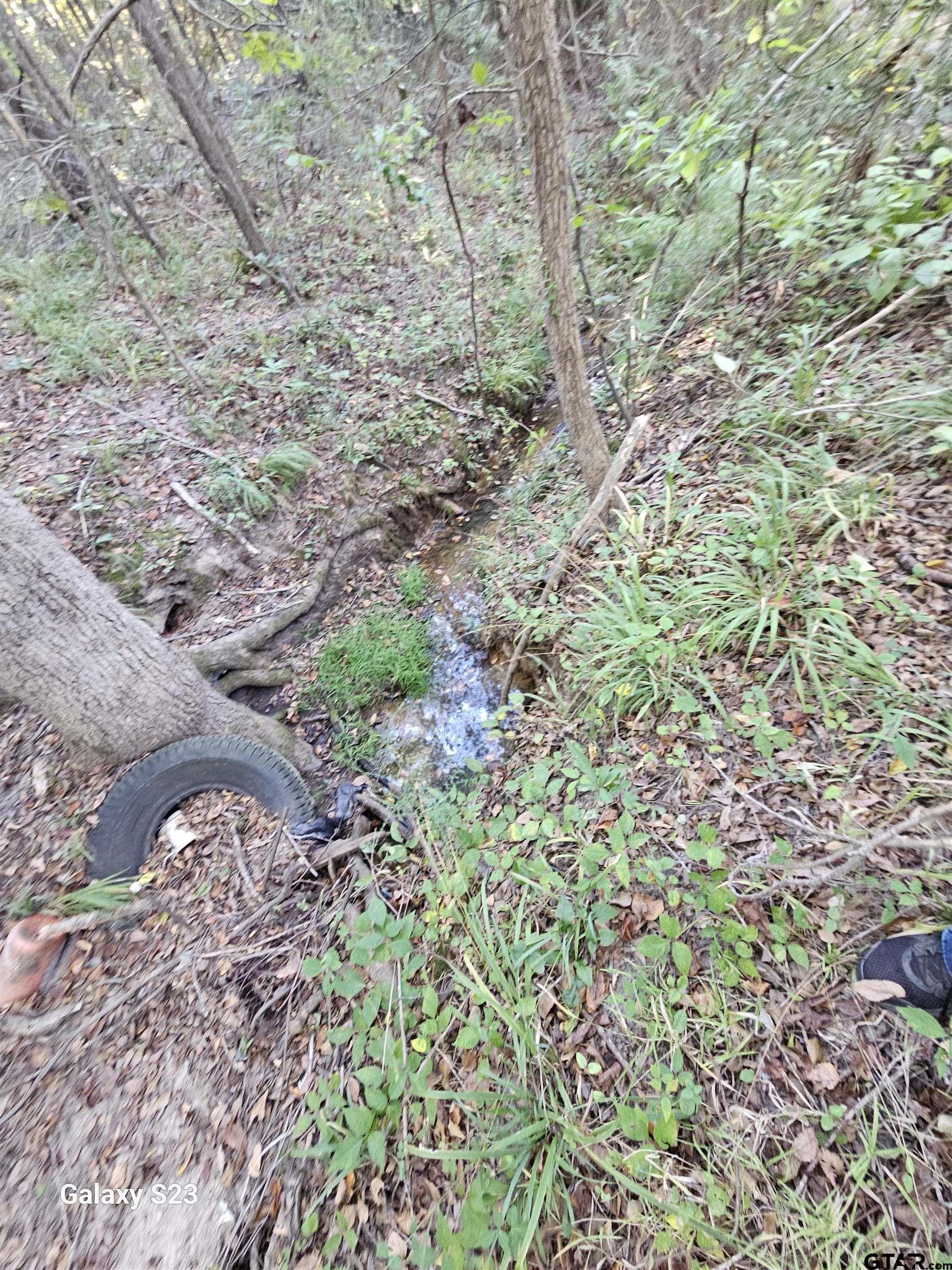 15830 Shady Creek Road Tyler, TX 75705 - Photo 19 of 32 a view of a yard with a tree