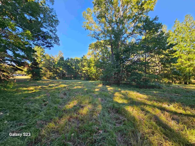 a view of yard with green space