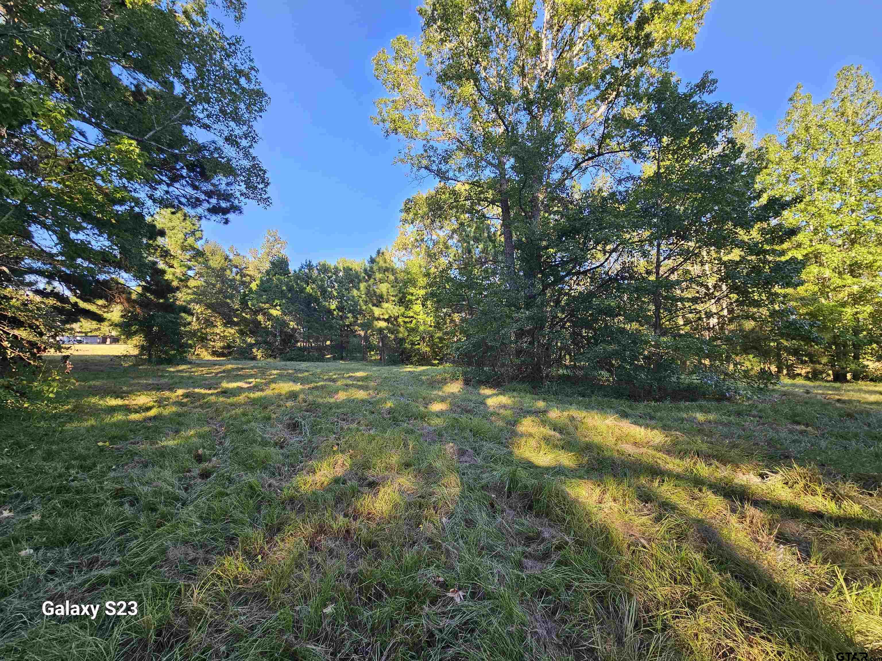 15830 Shady Creek Road Tyler, TX 75705 - Photo 20 of 32 a view of yard with green space