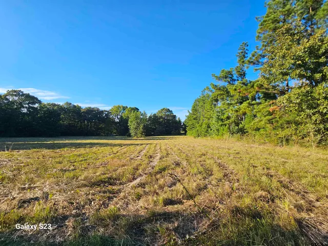 a view of an ocean and a yard