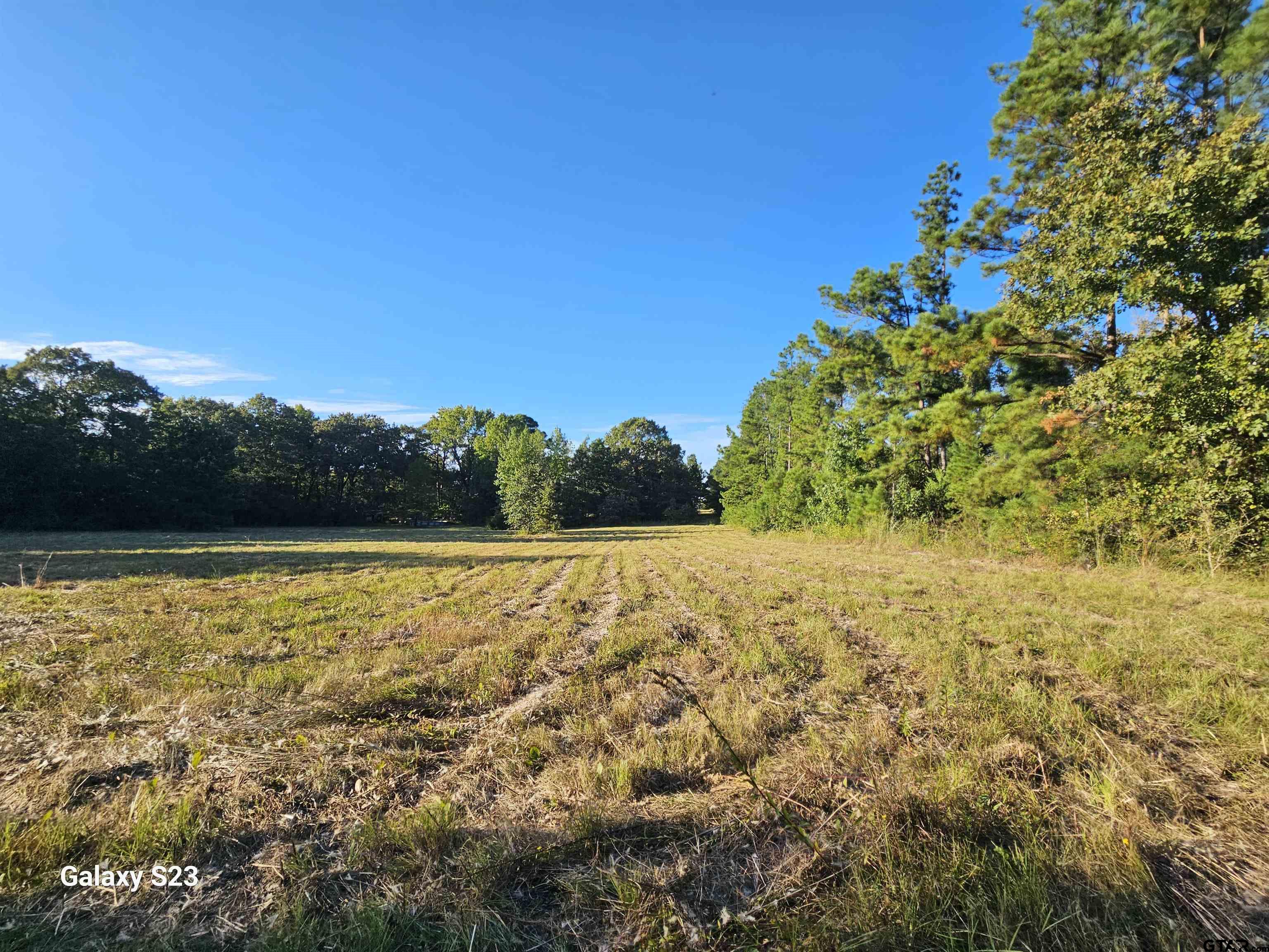 15830 Shady Creek Road Tyler, TX 75705 - Photo 2 of 32 a view of an ocean and a yard