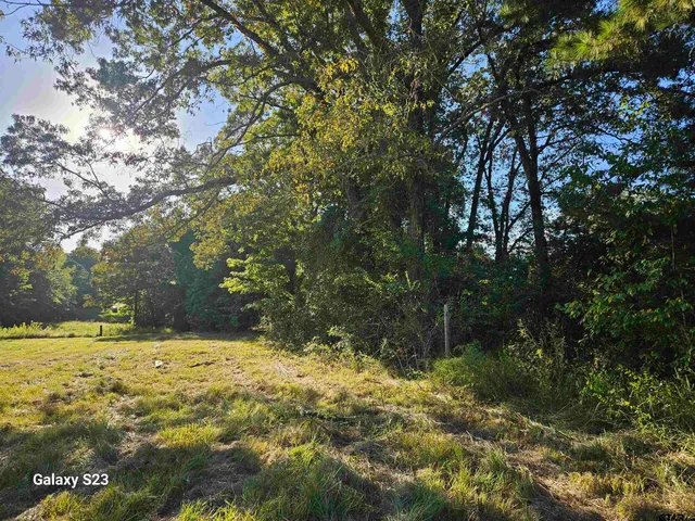 a view of yard with tree in the background