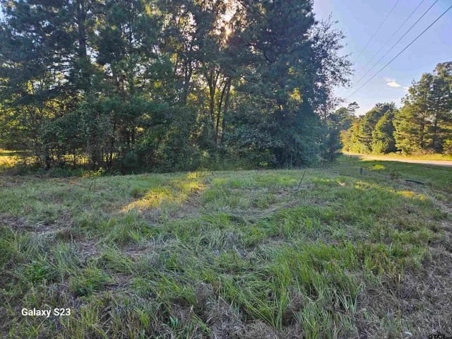 a view of outdoor space with a garden and trees