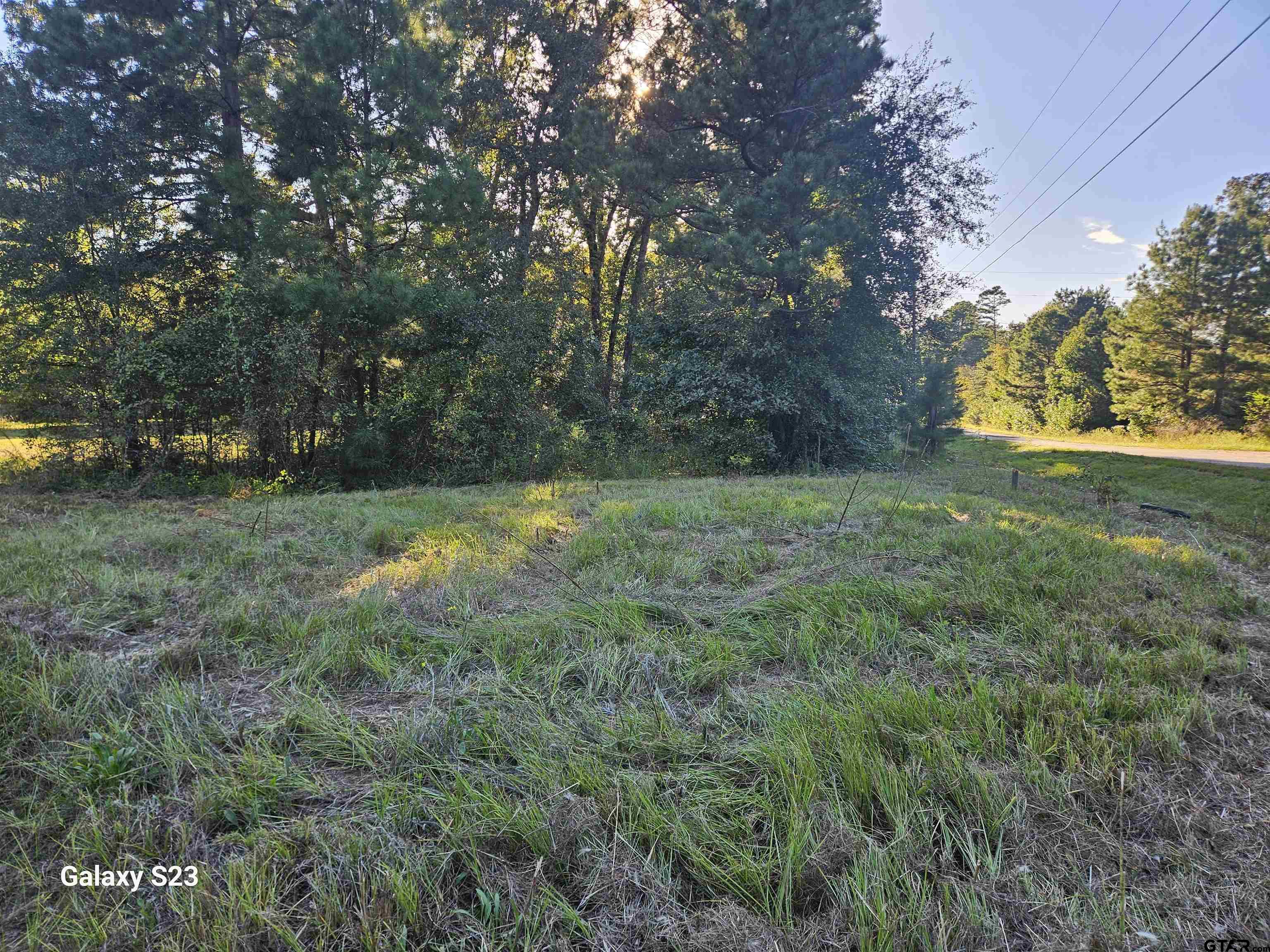 15830 Shady Creek Road Tyler, TX 75705 - Photo 32 of 32 a view of outdoor space with a garden and trees