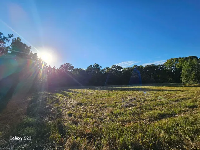 a view of an outdoor space and a yard
