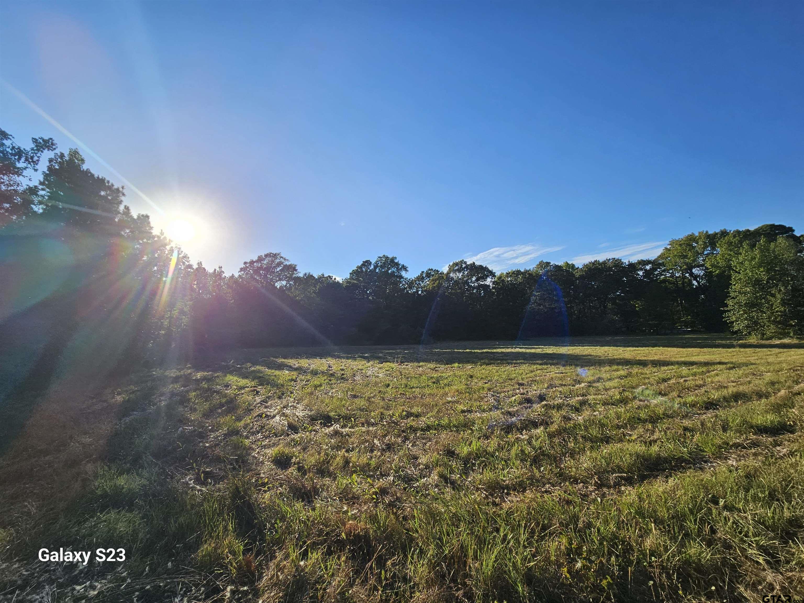 15830 Shady Creek Road Tyler, TX 75705 - Photo 4 of 32 a view of an outdoor space and a yard