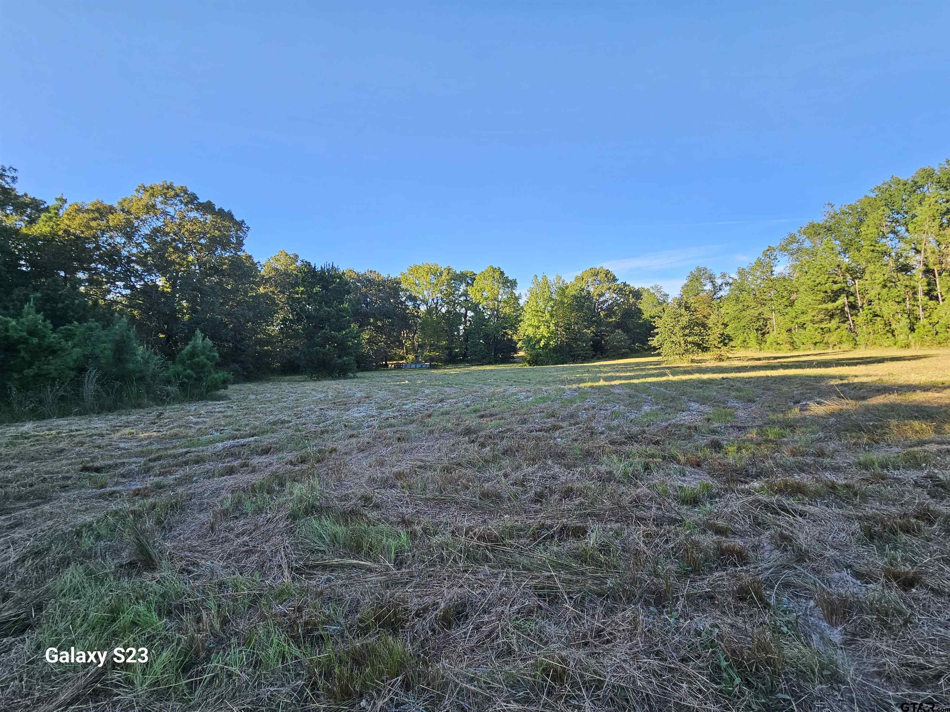 15830 Shady Creek Road Tyler, TX 75705 - Photo 5 of 32 a view of a field with trees in background