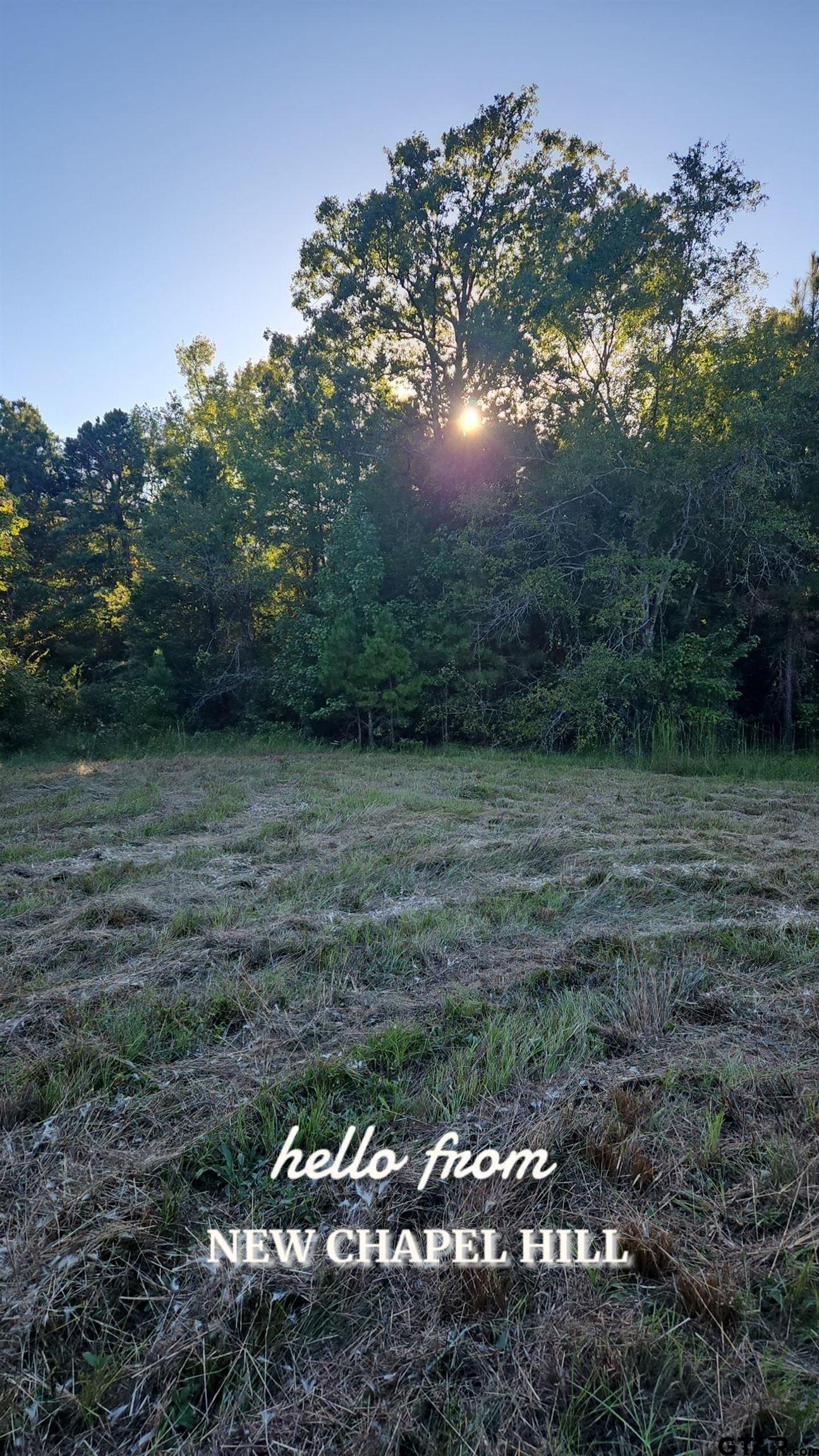 15830 Shady Creek Road Tyler, TX 75705 - Photo 6 of 32 a backyard of a house with lots of green space