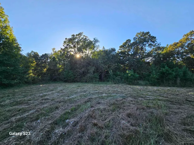 a view of outdoor space and yard