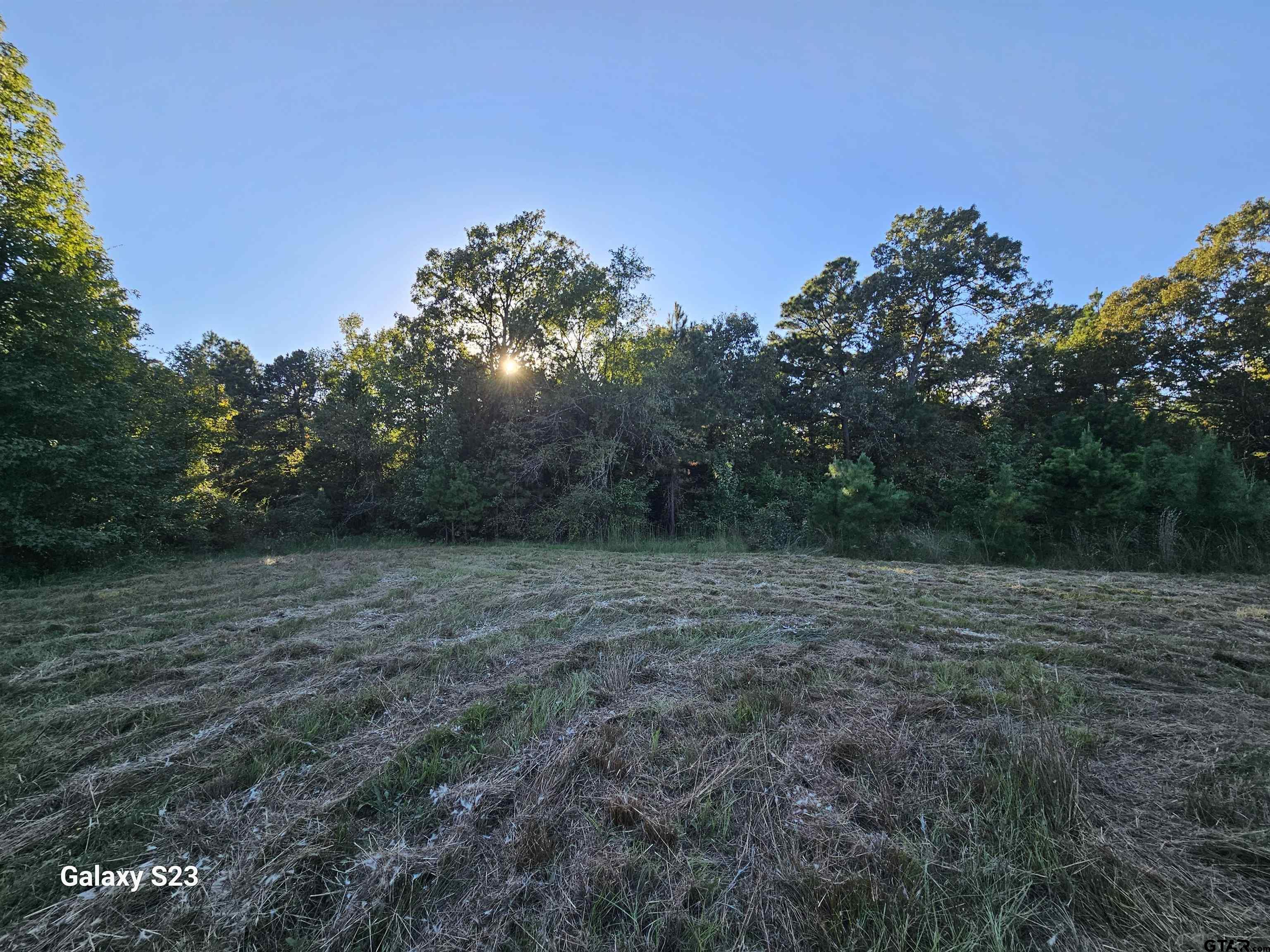 15830 Shady Creek Road Tyler, TX 75705 - Photo 7 of 32 a view of outdoor space and yard