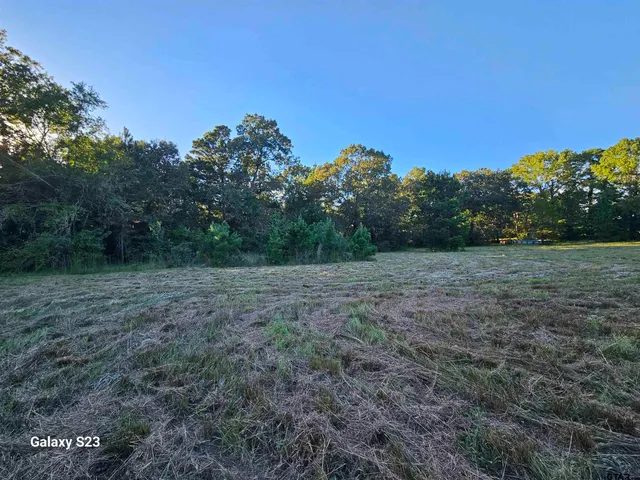 a view of a field with trees in background