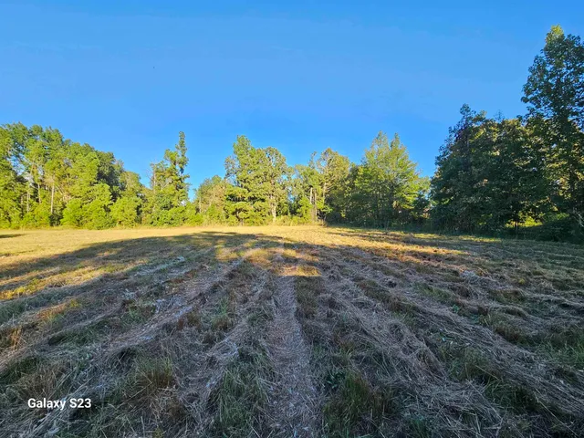 a view of a field with an ocean