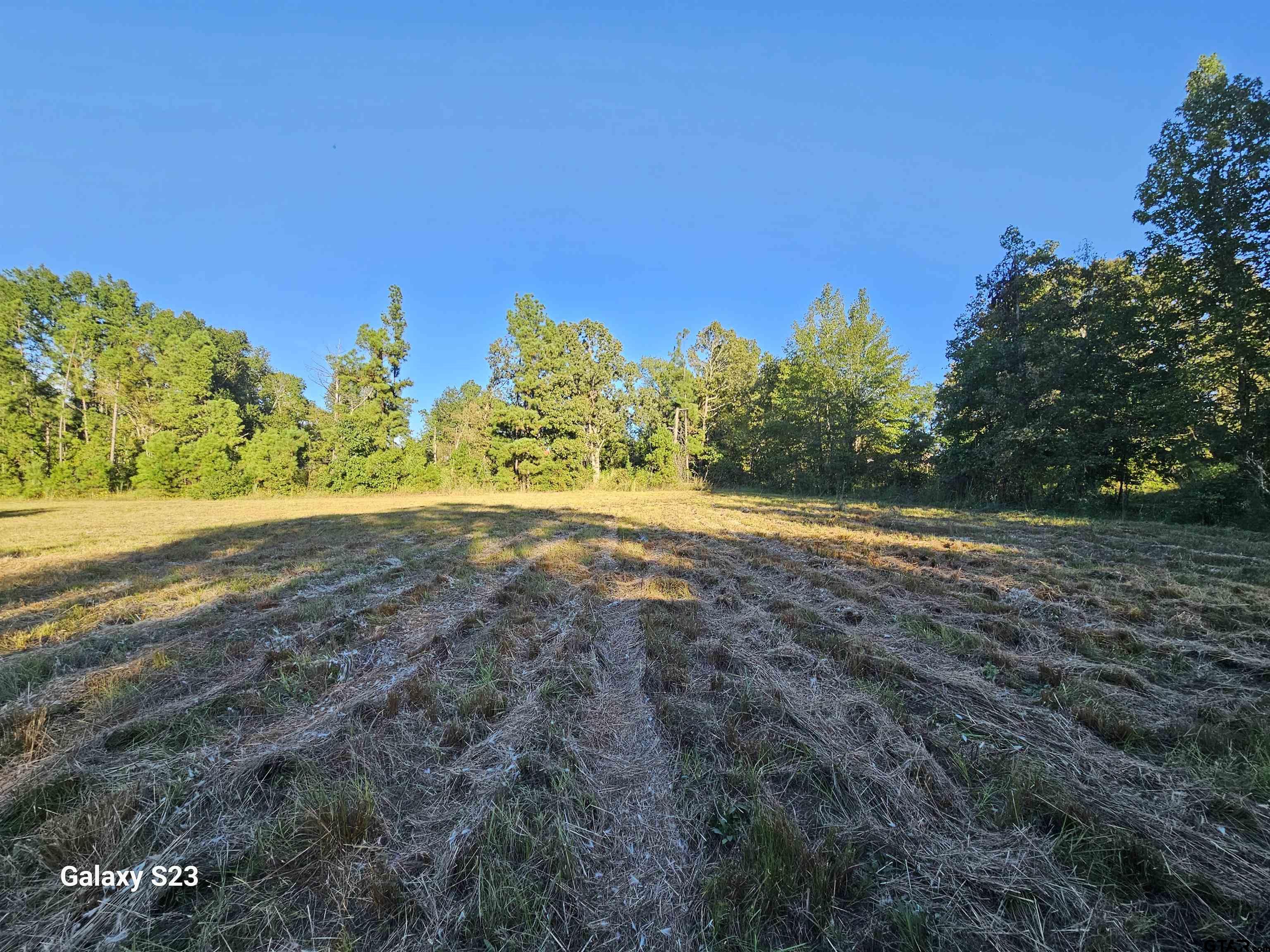 15830 Shady Creek Road Tyler, TX 75705 - Photo 9 of 32 a view of a field with an ocean
