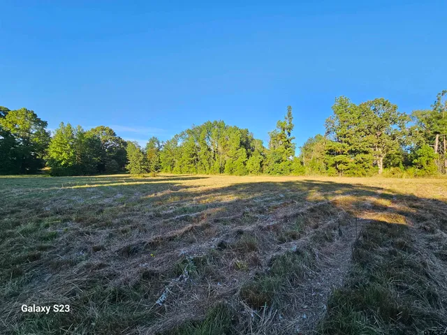 a view of a field with trees in background