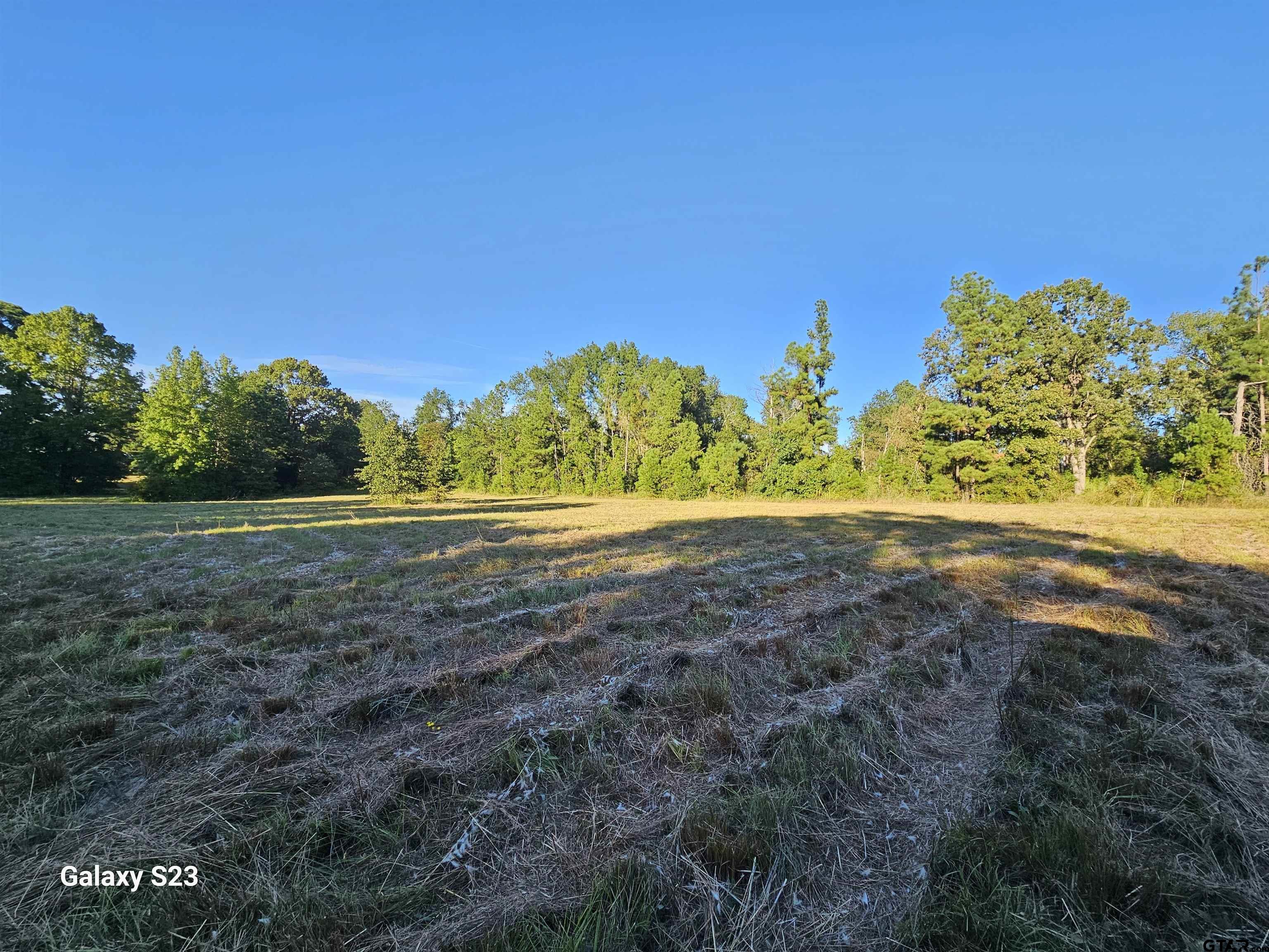 15830 Shady Creek Road Tyler, TX 75705 - Photo 10 of 32 a view of a field with trees in background