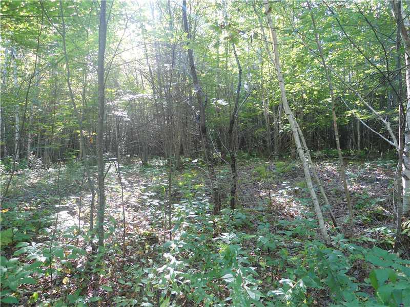 Lot 2 Pine Grove Road Lagrange, ME 04453 - Photo 2 of 3 Land.