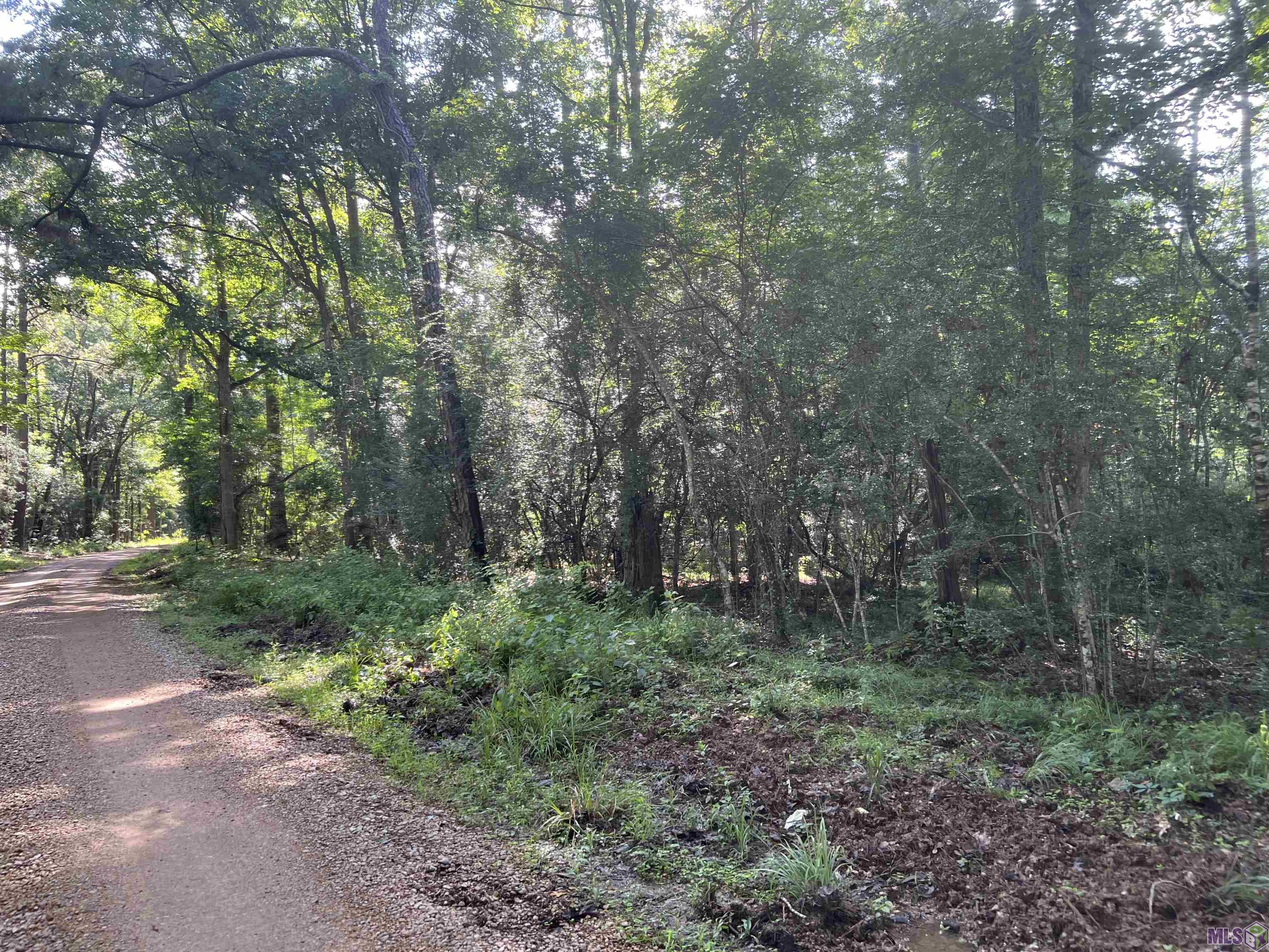 Lot 4 Hepzibah Road Clinton, LA 70722 - Photo 4 of 6