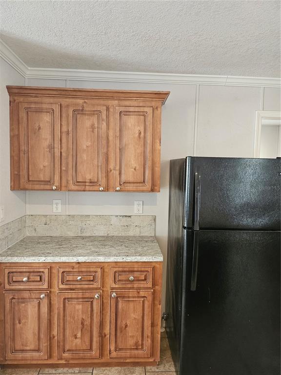 5636 West O Griffin Road Plant City, FL 33567 - Photo 14 of 20 a kitchen with granite countertop cabinets and refrigerator