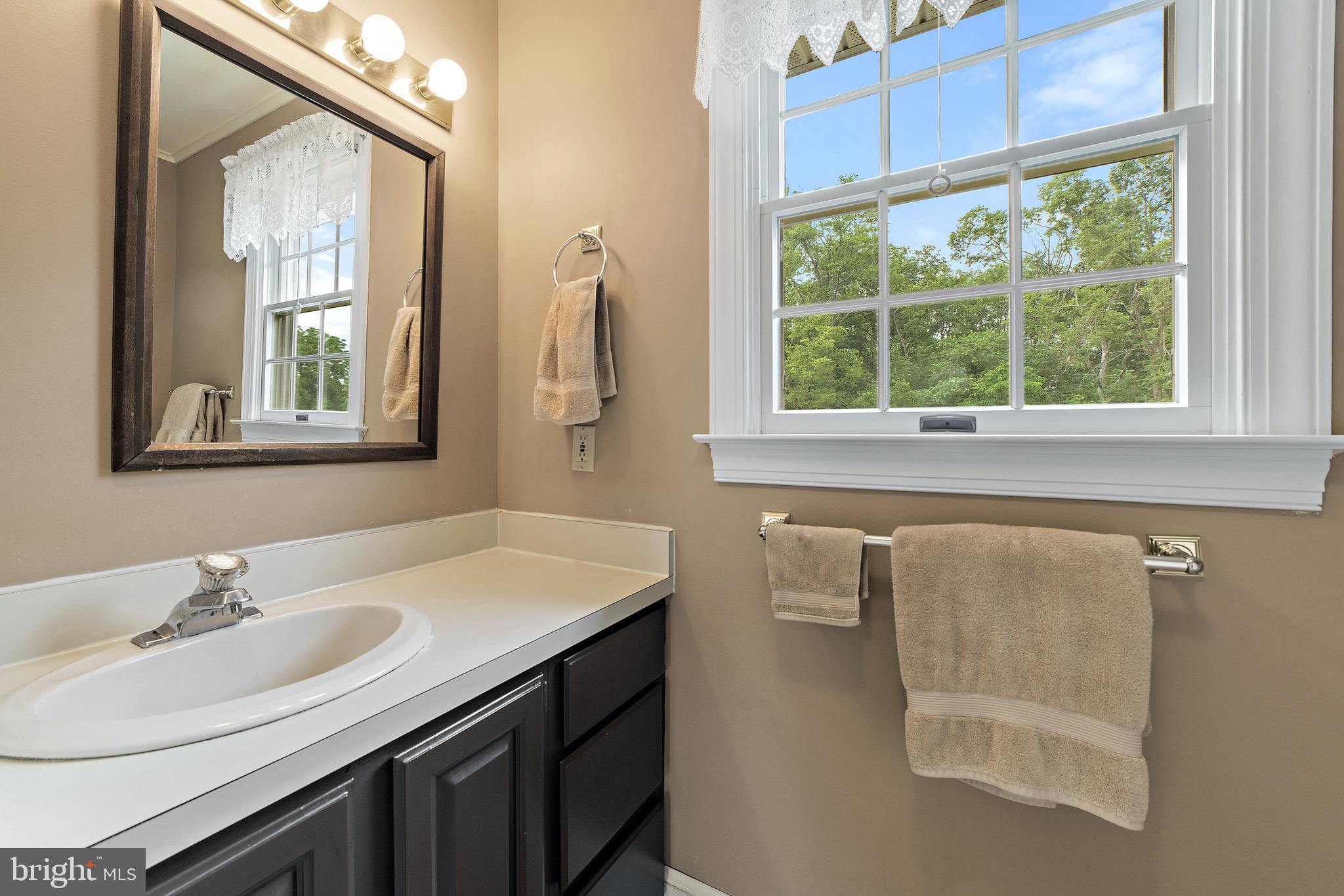 16356 Ryland Chapel Road Rixeyville, VA 22737 - Photo 15 of 36 Master Bath with shower