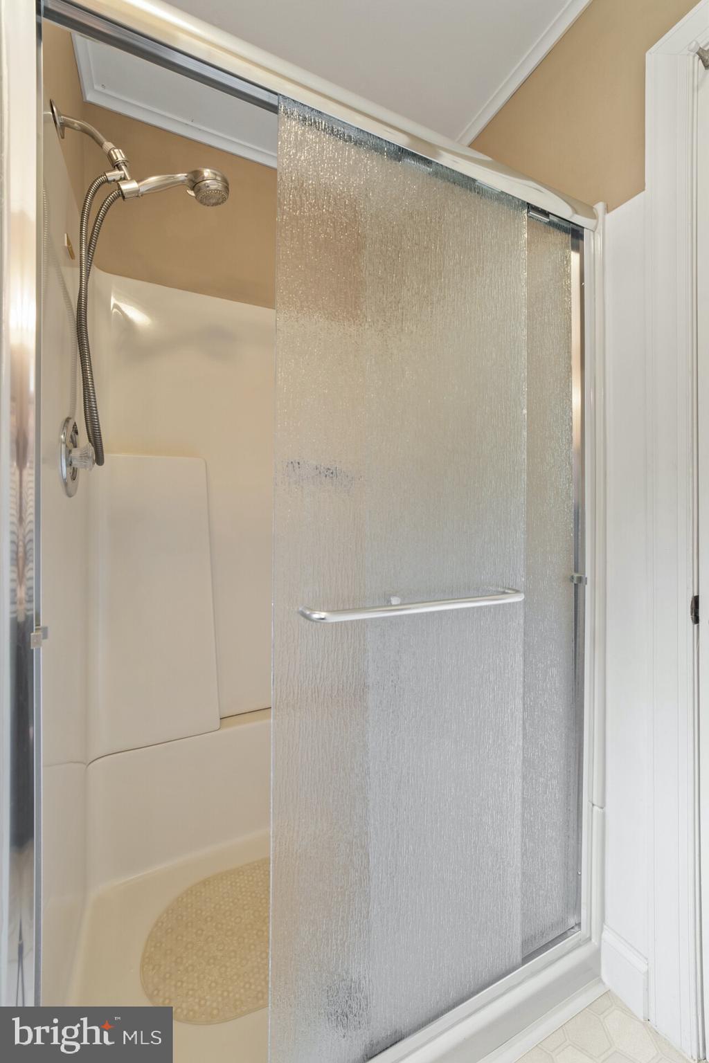 16356 Ryland Chapel Road Rixeyville, VA 22737 - Photo 17 of 36 Master shower