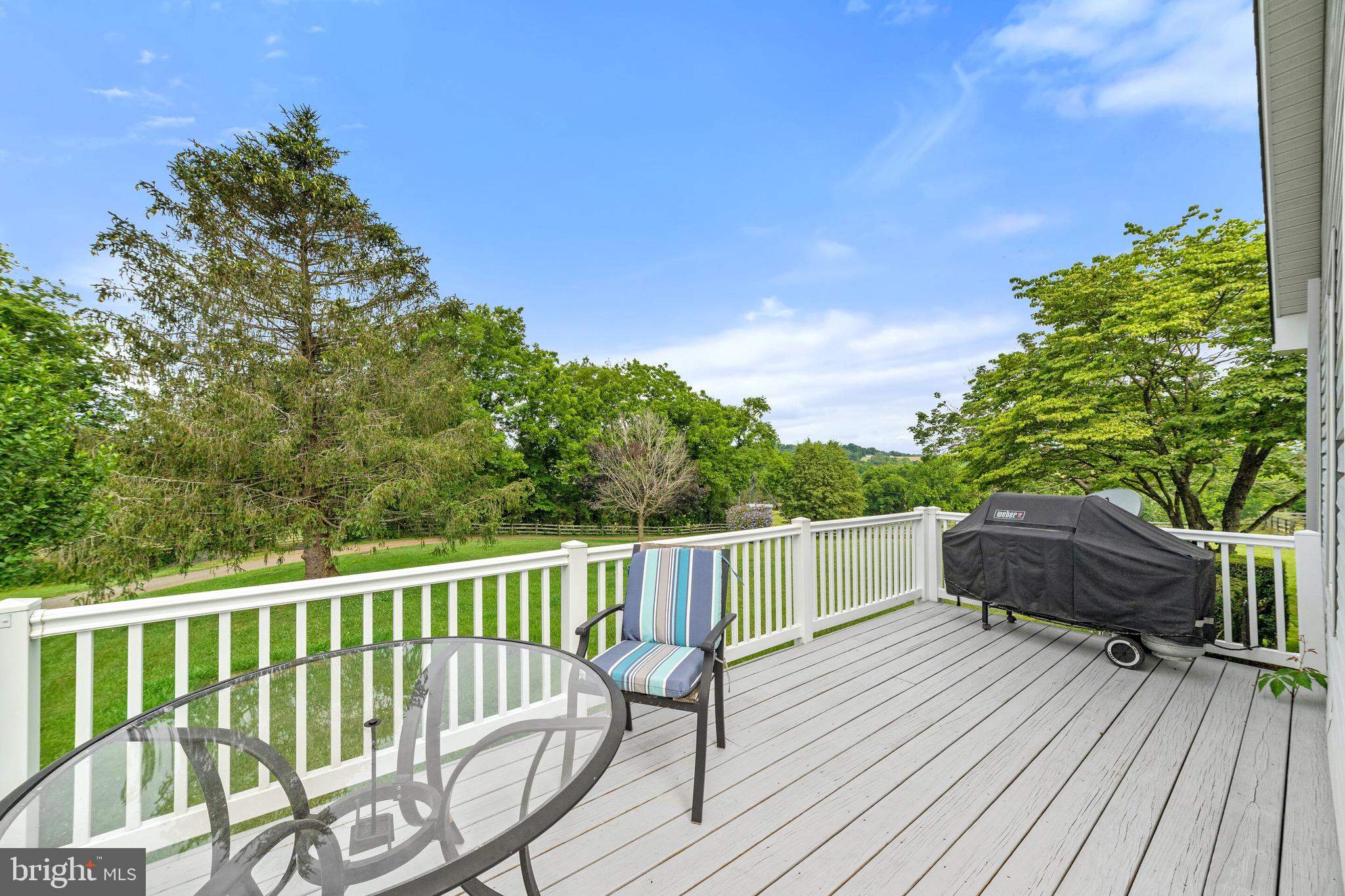 16356 Ryland Chapel Road Rixeyville, VA 22737 - Photo 30 of 36 Wrap around deck