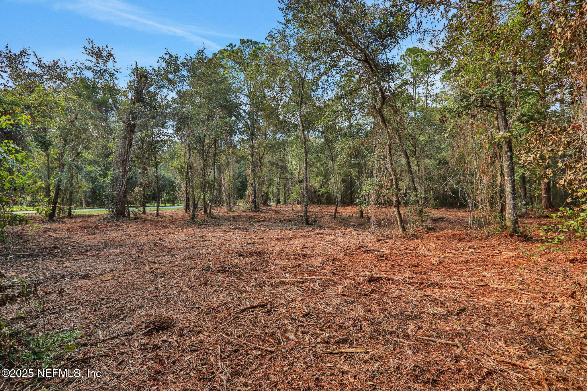 0 Joe Ashton Road St. Augustine, FL 32092 - Photo 1 of 14 a view of outdoor space with trees