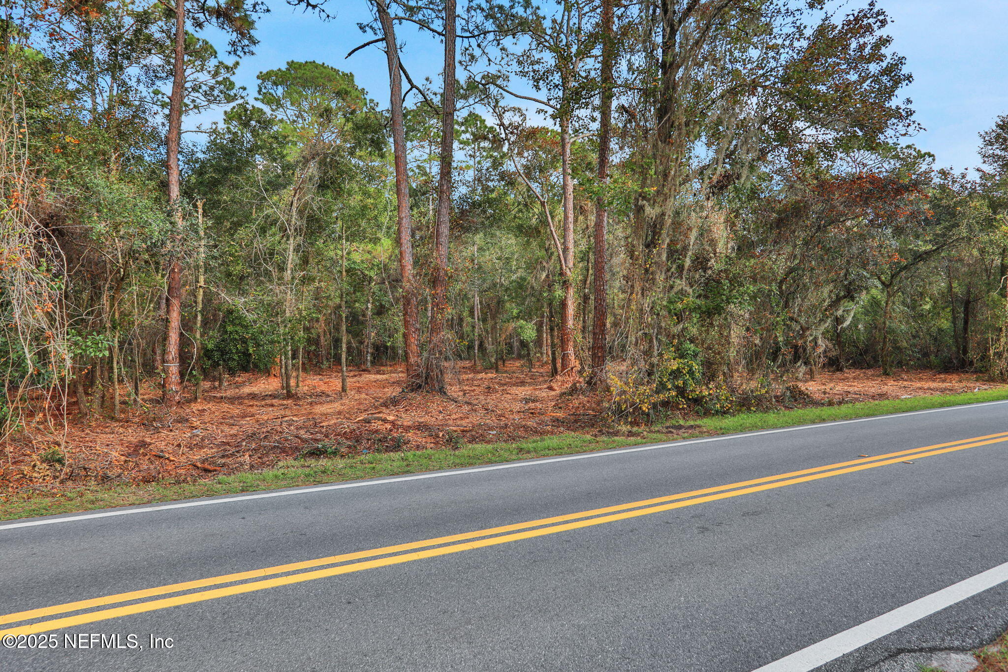 0 Joe Ashton Road St. Augustine, FL 32092 - Photo 13 of 14 a view of a yard with large trees