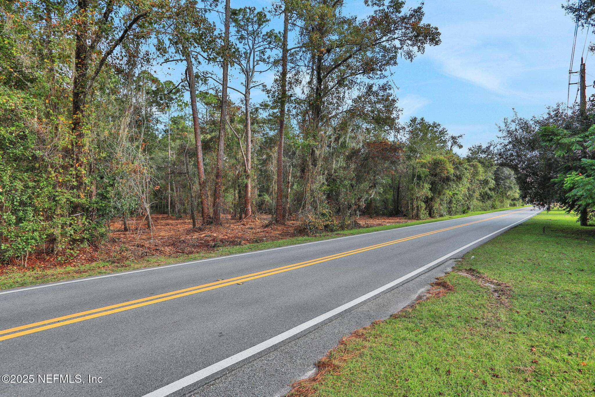 0 Joe Ashton Road St. Augustine, FL 32092 - Photo 14 of 14 a view of a yard with a large trees