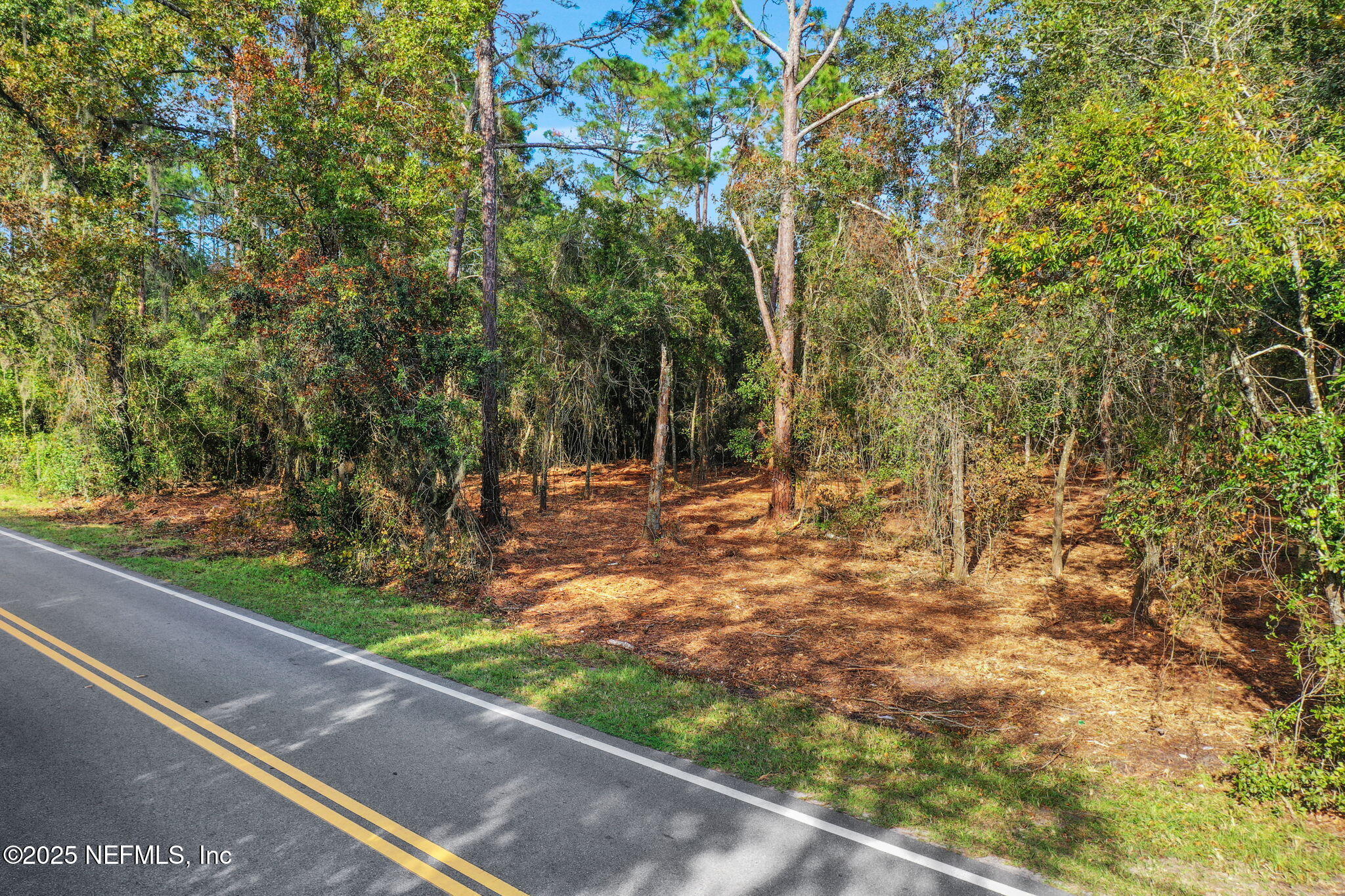 0 Joe Ashton Road St. Augustine, FL 32092 - Photo 3 of 14 a view of a yard with plants and large trees