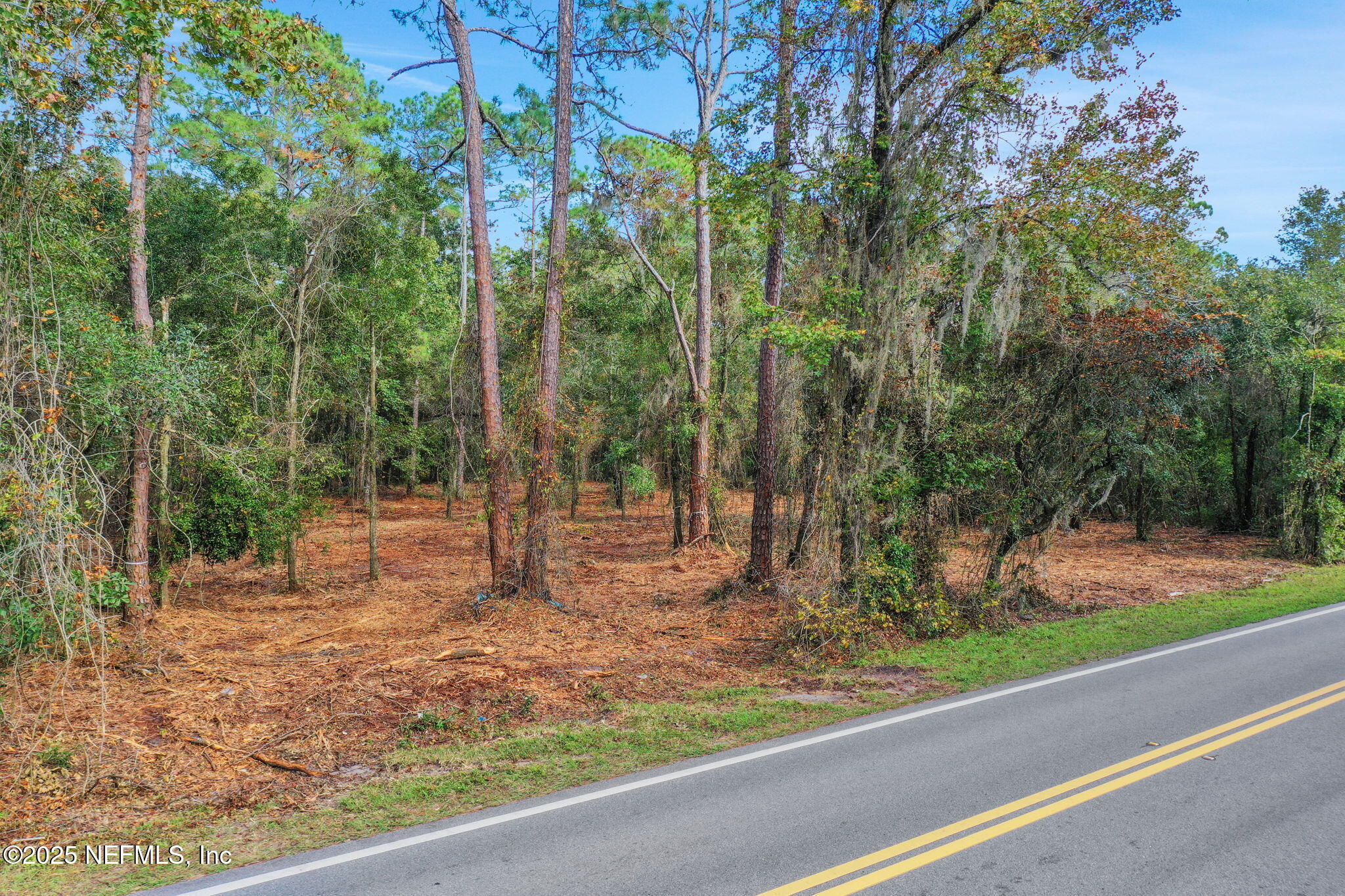 0 Joe Ashton Road St. Augustine, FL 32092 - Photo 5 of 14 a view of a park with large trees