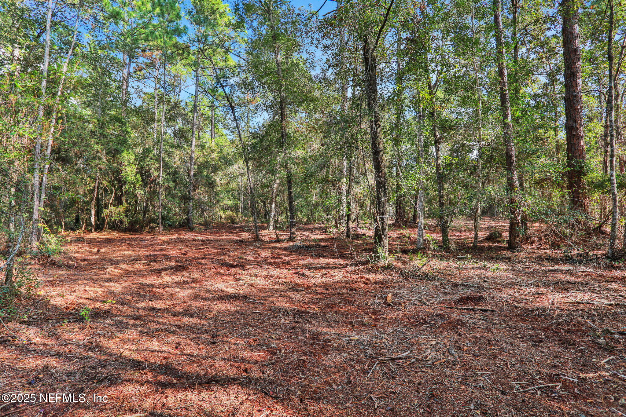 0 Joe Ashton Road St. Augustine, FL 32092 - Photo 8 of 14 a view of outdoor space with trees