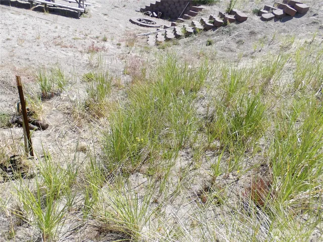 a view of a street with a building in the background