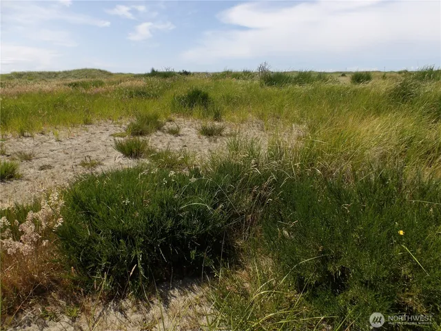 a view of a lake with a city